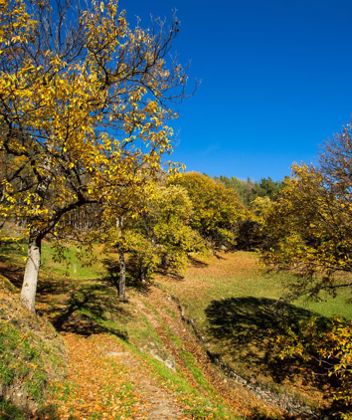 Il Sentiero del Castagno in autunno